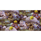Noordwand behang good vibes coral and tropical fish geel en paars