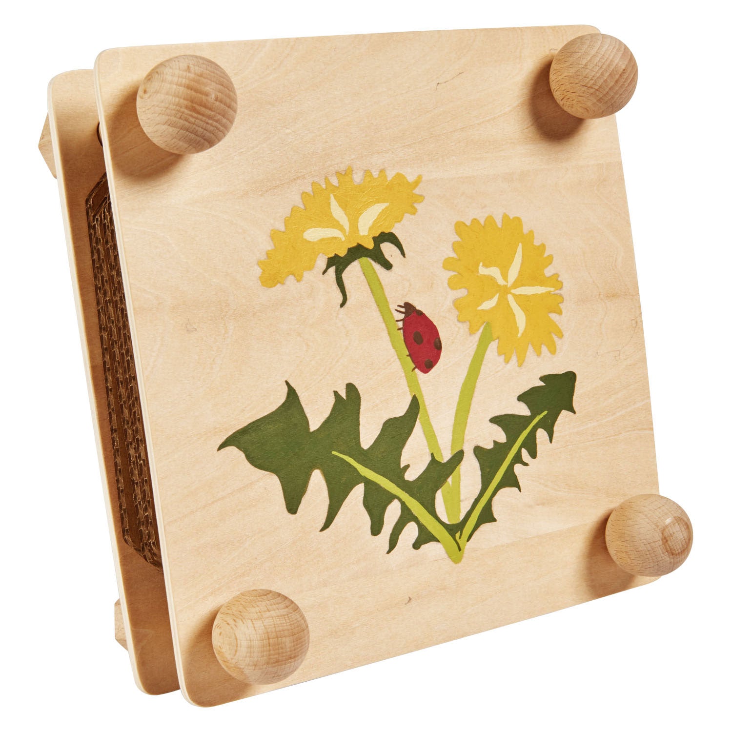 Eichhorn outdoor bladeren en bloemenpers knutselset
