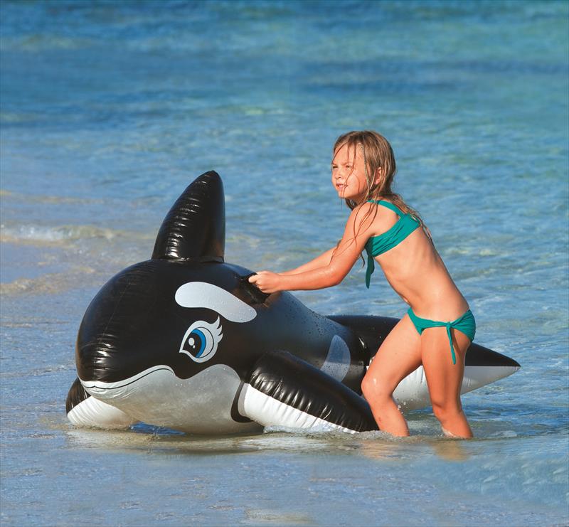 Opblaasbare walvis groot model