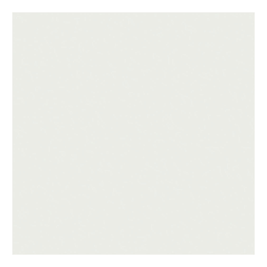 Creativ company tissuepapier, vel 50x70 cm, 17 gr, wit, 10 vel 1 doos