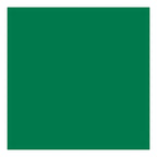 Creativ company tissuepapier, vel 50x70 cm, 17 gr, groen, 10 vel 1 doos