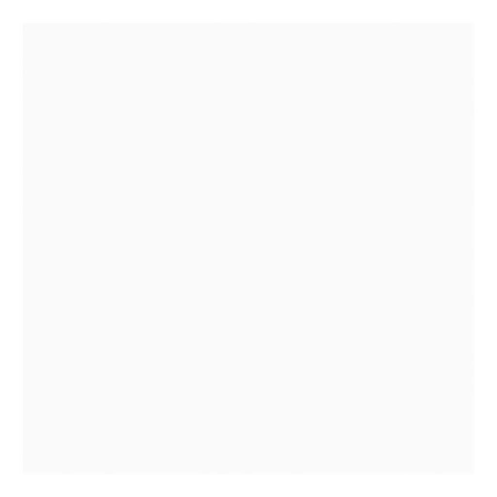 Creativ Company Gekleurd Karton Wit A4 210-220g, 10 Vellen