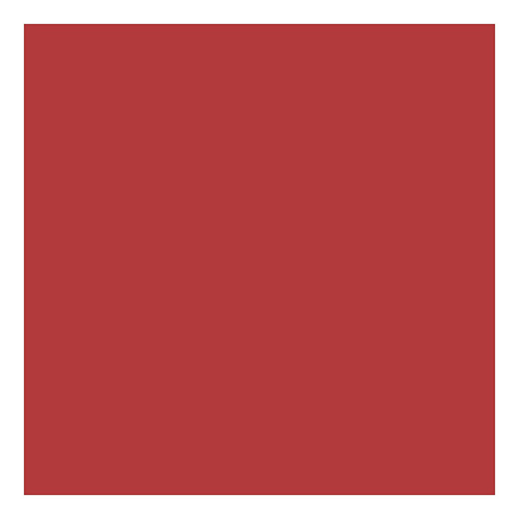 Creativ company karton, a4, vel 210x297 mm, 220 gr, rood, 10 stuk 1 doos