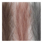 Creativ company pampasgras blauw lila roze, 3st.