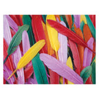 Colorations - gekleurde eendenveren, 28,5 gram