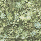 Noordwand behang evergreen succulent groen en beige