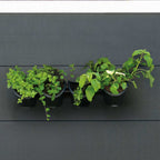 Nature wandtuin voor kruiden en bloemen verticaal