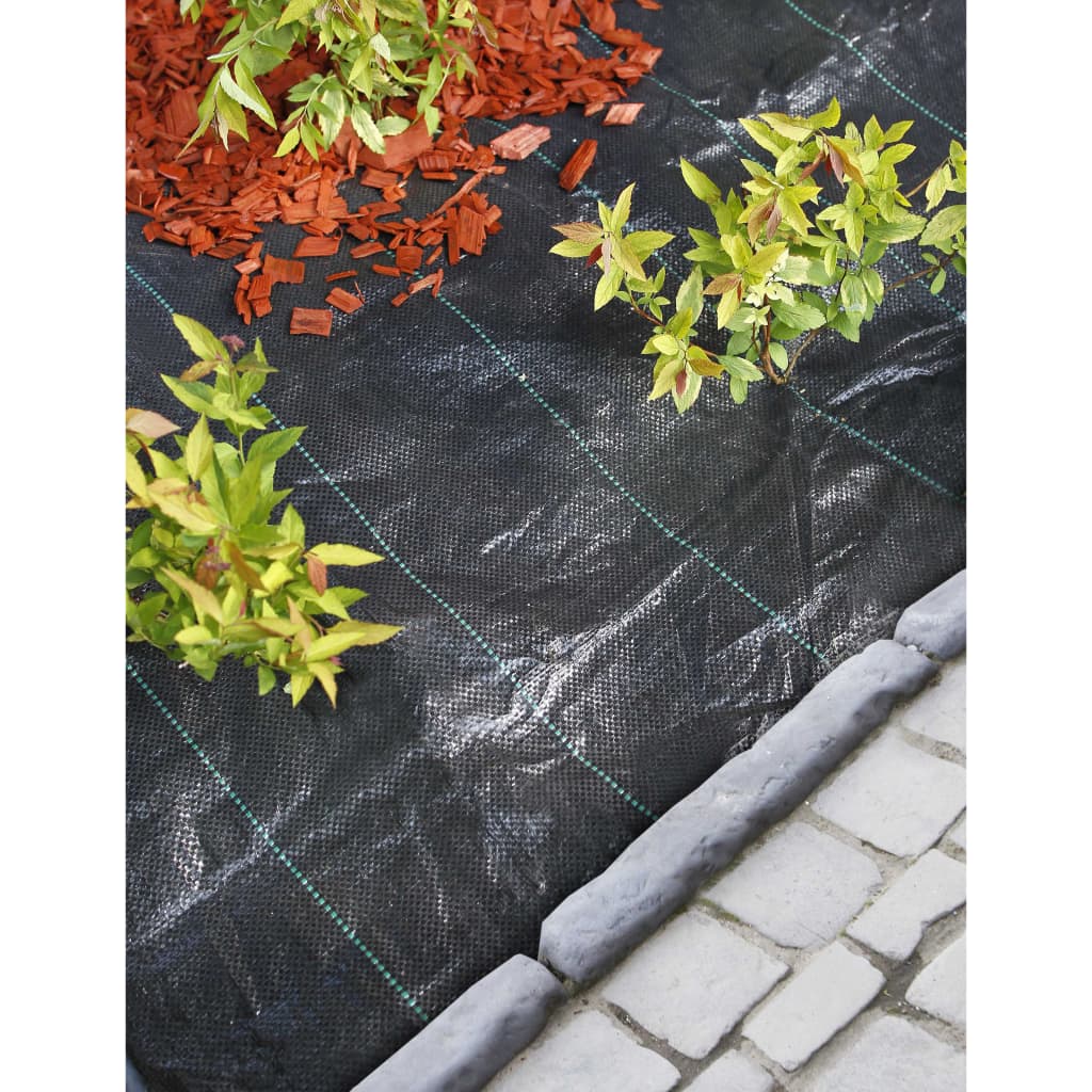 Nature worteldoek 2x10 m zwart