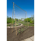 Nature klimnet voor planten 1,8x5 m l