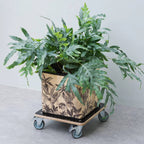 Nature planttrolley vierkant rolplank (zwart)