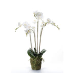 Emerald kunstplant orchidee met mos wit 90 cm 20.355
