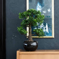 Emerald kunstplant mini bonsai ficus groen 47 cm 420006