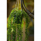Emerald kunstplant hangend in pot ficus pumila 60 cm