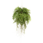 Emerald Emerald Kunstvaren hangend met wortels 55 cm