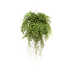 Emerald Emerald Kunstvaren hangend met wortels 55 cm