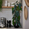 Emerald kunstplant in pot alocasia 75 cm