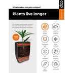 Capi plantenbak nature rib vierkant 30x30 cm zwart kblr902