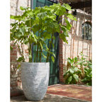 Capi bloempot nature row elegant laag 46x58 cm ivoorkleurig krwi783
