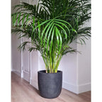 Capi plantenbak waste smooth 43x41 cm grijs