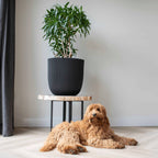 Capi plantenbak groove 35x34 cm zwart