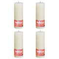 Bolsius Bolsius Stompkaarsen Shine 4 st rustiek 190x68 mm zacht parelkleurig