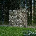 Vidaxl gabion mand 100x50x100 cm gegalvaniseerd staal