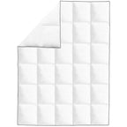 Vidaxl winterdekbedden 2 st 135x200 cm dons