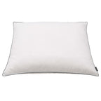 Vidaxl kussens 2 st zwaar 70x60 cm dons- verenvulling wit
