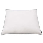 Vidaxl kussens 2 st licht 80x80 cm dons- verenvulling wit