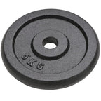 Vidaxl halterschijven 4 st 4x5 kg gietijzer