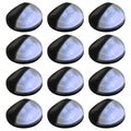Vidaxl led-wandlampen solar rond zwart 12 st