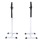 Vidaxl halter- en gewichtenstandaard
