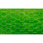 Vidaxl kippengaas 25x0,5 m gegalvaniseerd staal zilverkleurig