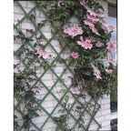Nature Nature 2 st Tuinlatwerken 100x200 cm PVC groen