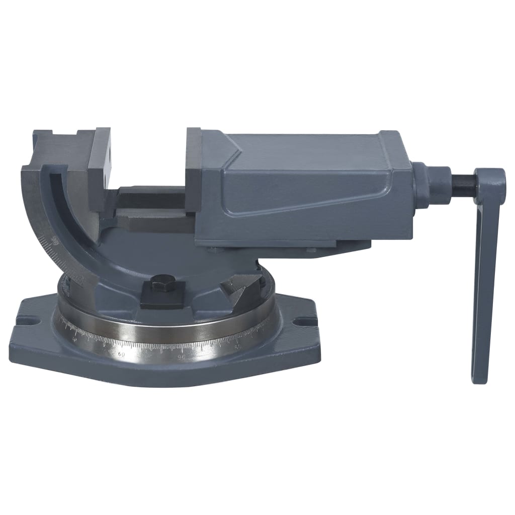 Vidaxl bankschroef met 2 assen kantelbaar 100 mm