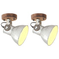 Vidaxl wand- plafondlampen industrieel 2 st e27 20x25 cm zilverkleurig