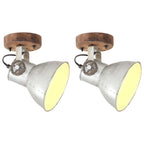 Vidaxl wand- plafondlampen industrieel 2 st e27 20x25 cm zilverkleurig