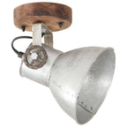 Vidaxl wand- plafondlampen industrieel 2 st e27 20x25 cm zilverkleurig