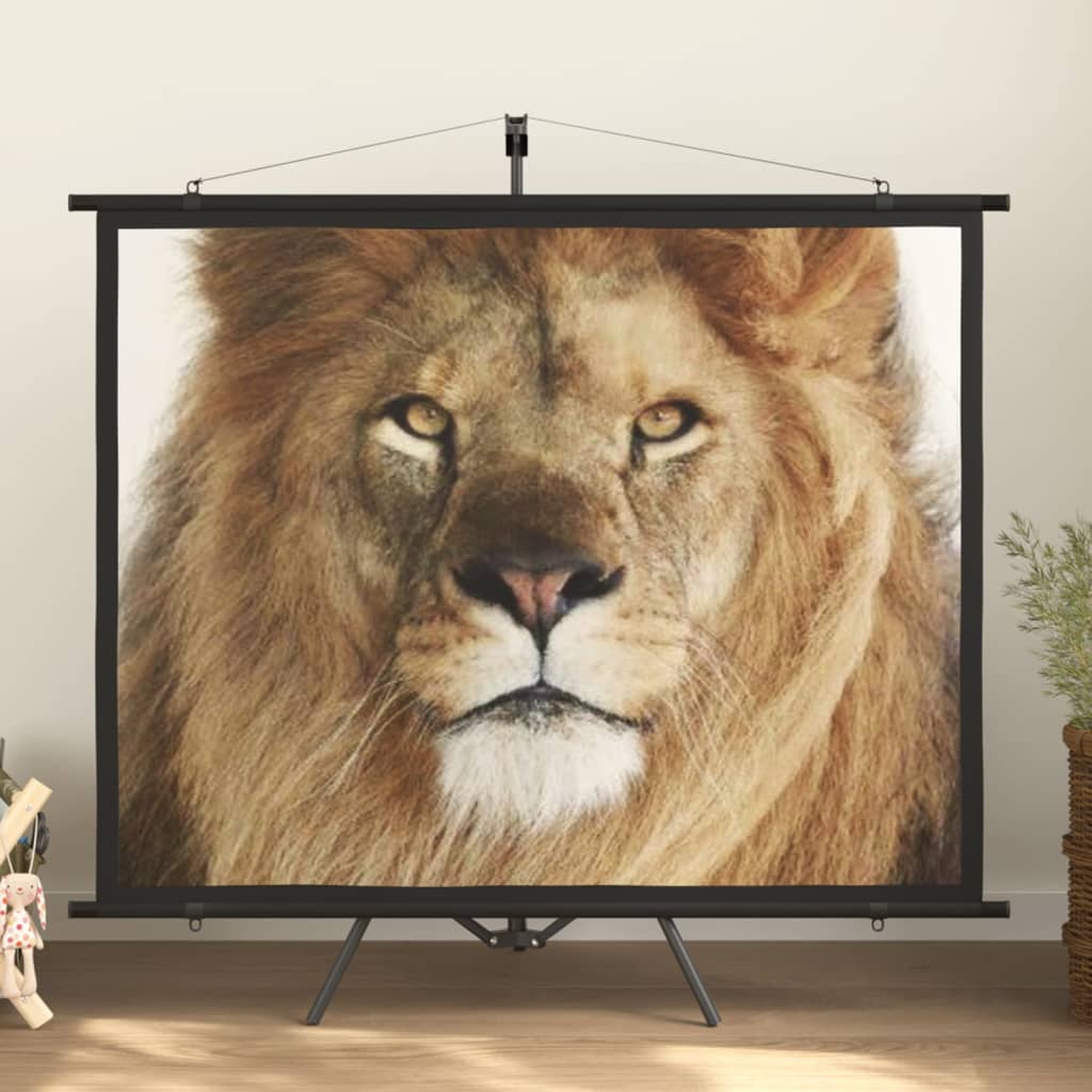 VidaXL Projectiescherm 4:3 72''