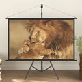 VidaXL Projectiescherm met statief 16:9 60''