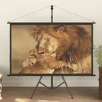 VidaXL Projectiescherm met statief 16:9 60''