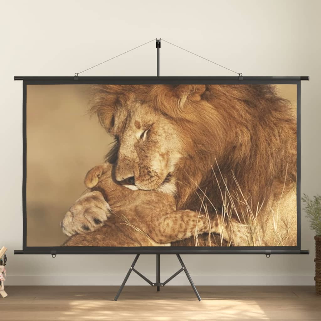 VidaXL Projectiescherm met statief 16:9 100''
