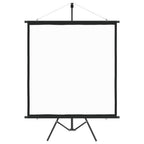 VidaXL Projectiescherm met statief 1:1 67''