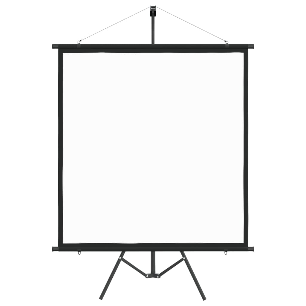 VidaXL Projectiescherm met statief 1:1 67''