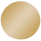 Vidaxl regendouchekop rond 40 cm roestvrij staal goudkleurig