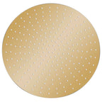 Vidaxl regendouchekop rond 50 cm roestvrij staal goudkleurig