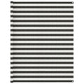 Vidaxl tenttapijt 250x450 cm antracietkleurig en wit
