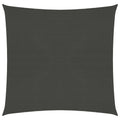 VidaXL Zonnezeil 160 g/m² 2,5x2,5 m HDPE antracietkleurig