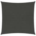 VidaXL Zonnezeil 160 g/m² 3x3 m HDPE antracietkleurig
