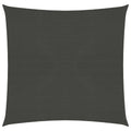 Vidaxl zonnezeil 160 g m² 6x6 m hdpe antracietkleurig